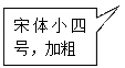 矩形标注: 宋体小四号，加粗