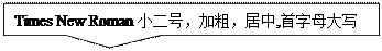矩形标注: Times New Roman小二号,加粗,居中,首字母大写