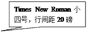 矩形标注: Times New Roman小四号,行间距20磅