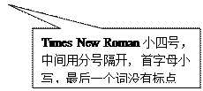 矩形标注: Times New Roman小四号,中间用分号隔开, 首字母小写,最后一个词没有标点